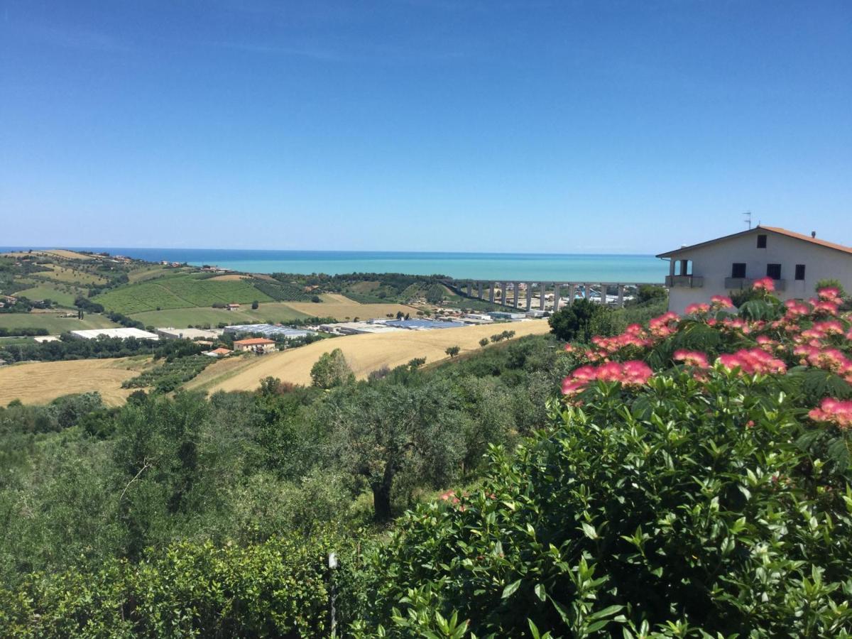 Ellebi B&B Montone  Luaran gambar