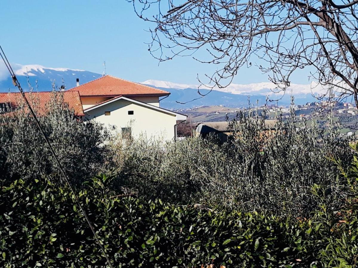Ellebi B&B Montone  Luaran gambar