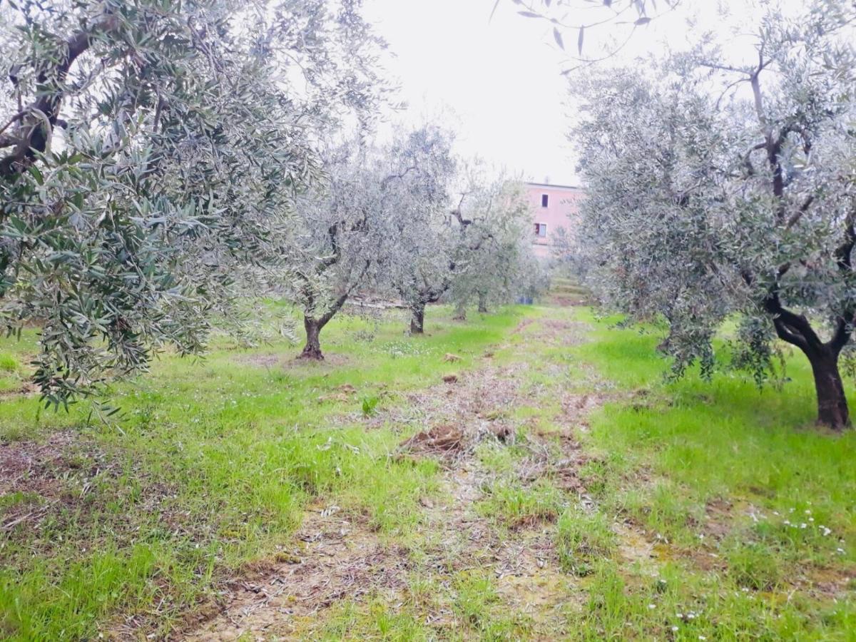 Ellebi B&B Montone  Luaran gambar