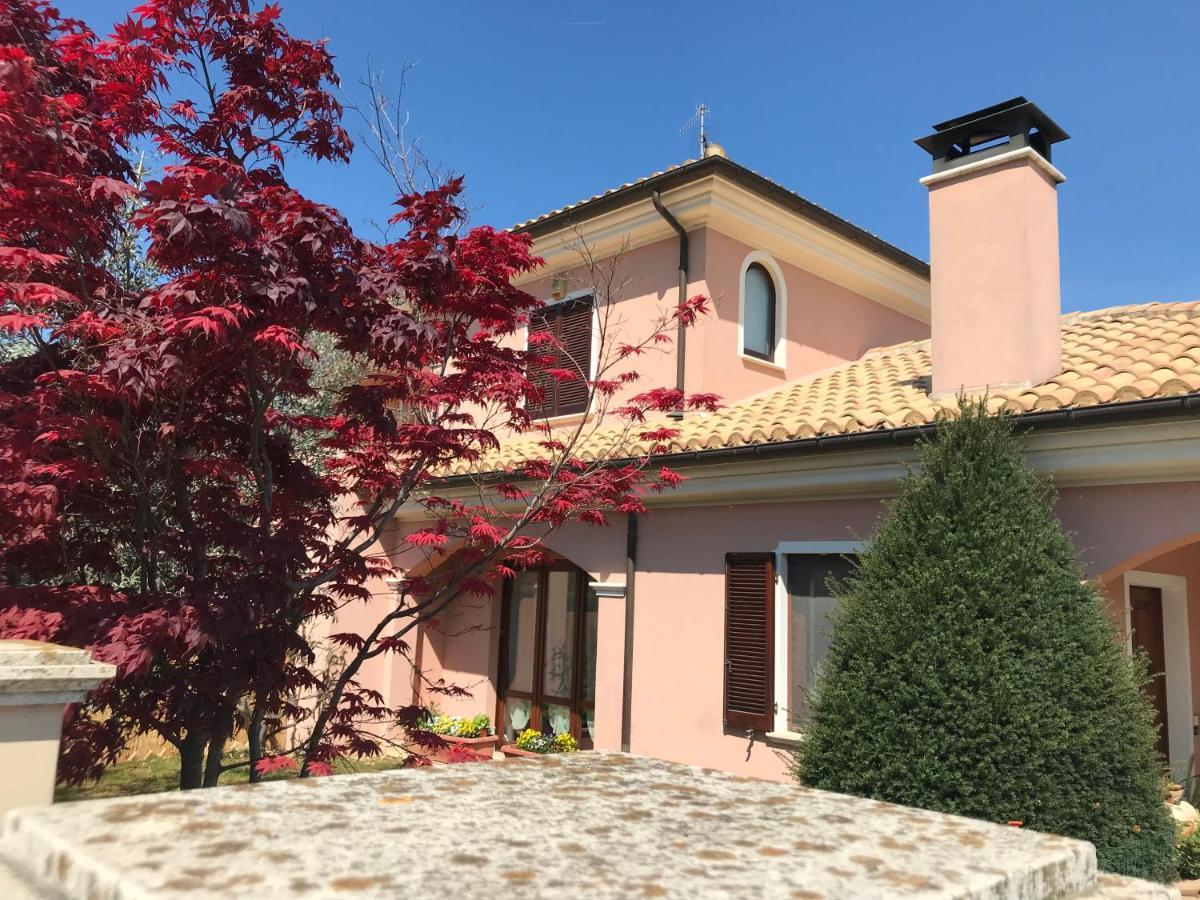 Ellebi B&B Montone  Luaran gambar